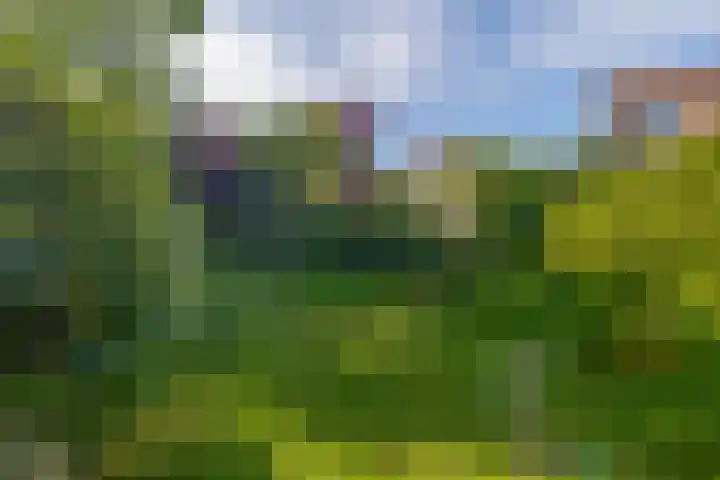 Debijelaan 30 Schoonhoven thumbnail 39