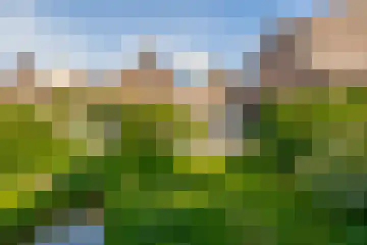 Debijelaan 30 Schoonhoven thumbnail 4