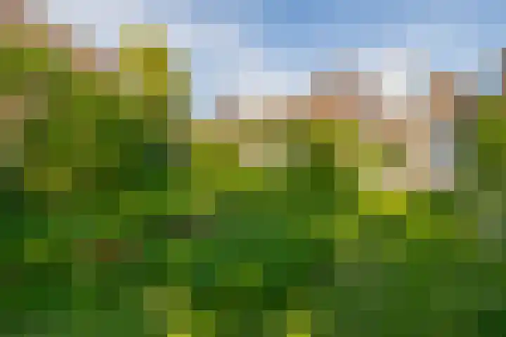 Debijelaan 30 Schoonhoven thumbnail 40