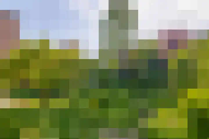 Debijelaan 30 Schoonhoven thumbnail 41