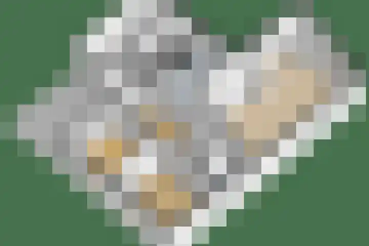 Debijelaan 30 Schoonhoven thumbnail 46