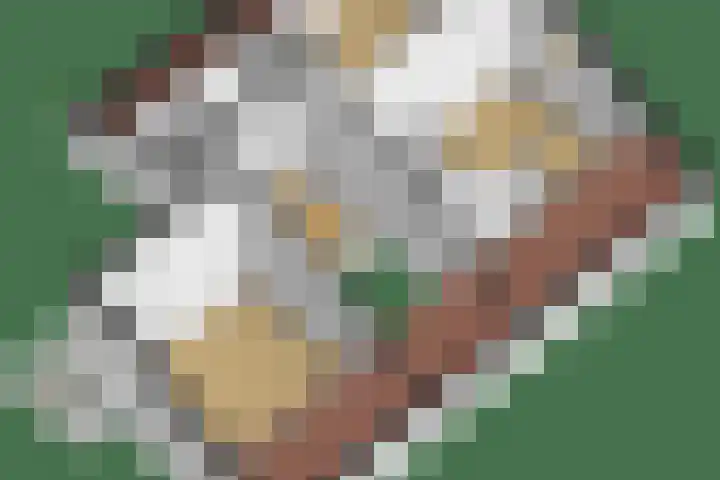 Debijelaan 30 Schoonhoven thumbnail 47
