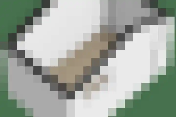 Debijelaan 30 Schoonhoven thumbnail 48
