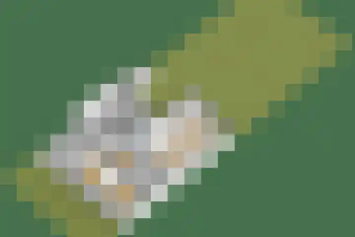 Debijelaan 30 Schoonhoven thumbnail 49