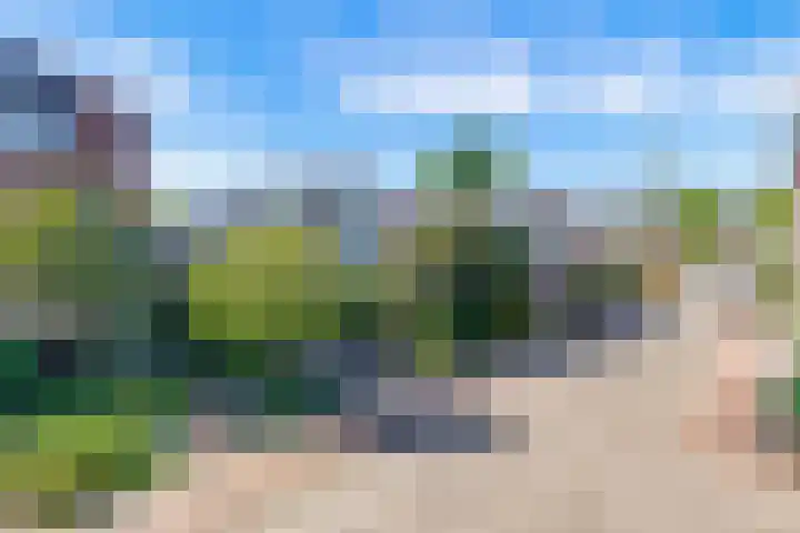 Debijelaan 30 Schoonhoven thumbnail 5