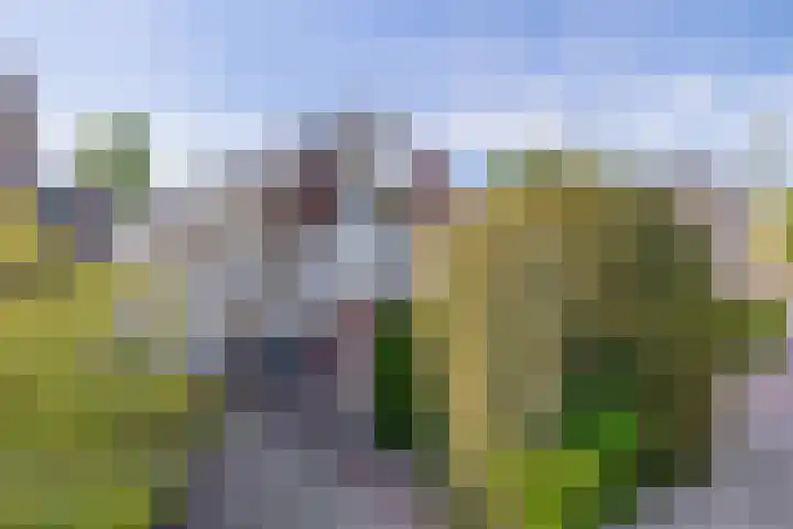 Debijelaan 30 Schoonhoven thumbnail 50