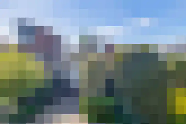 Debijelaan 30 Schoonhoven thumbnail 6