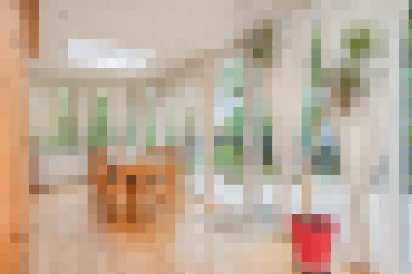Debijestraat 48 Geleen thumbnail 17
