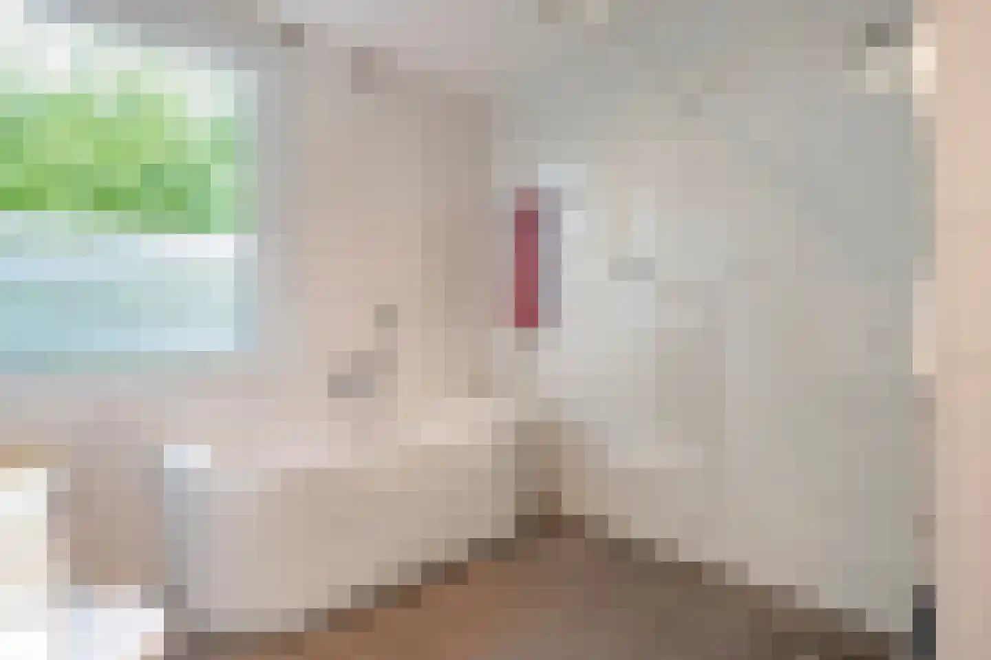 Debijestraat 48 Geleen thumbnail 24