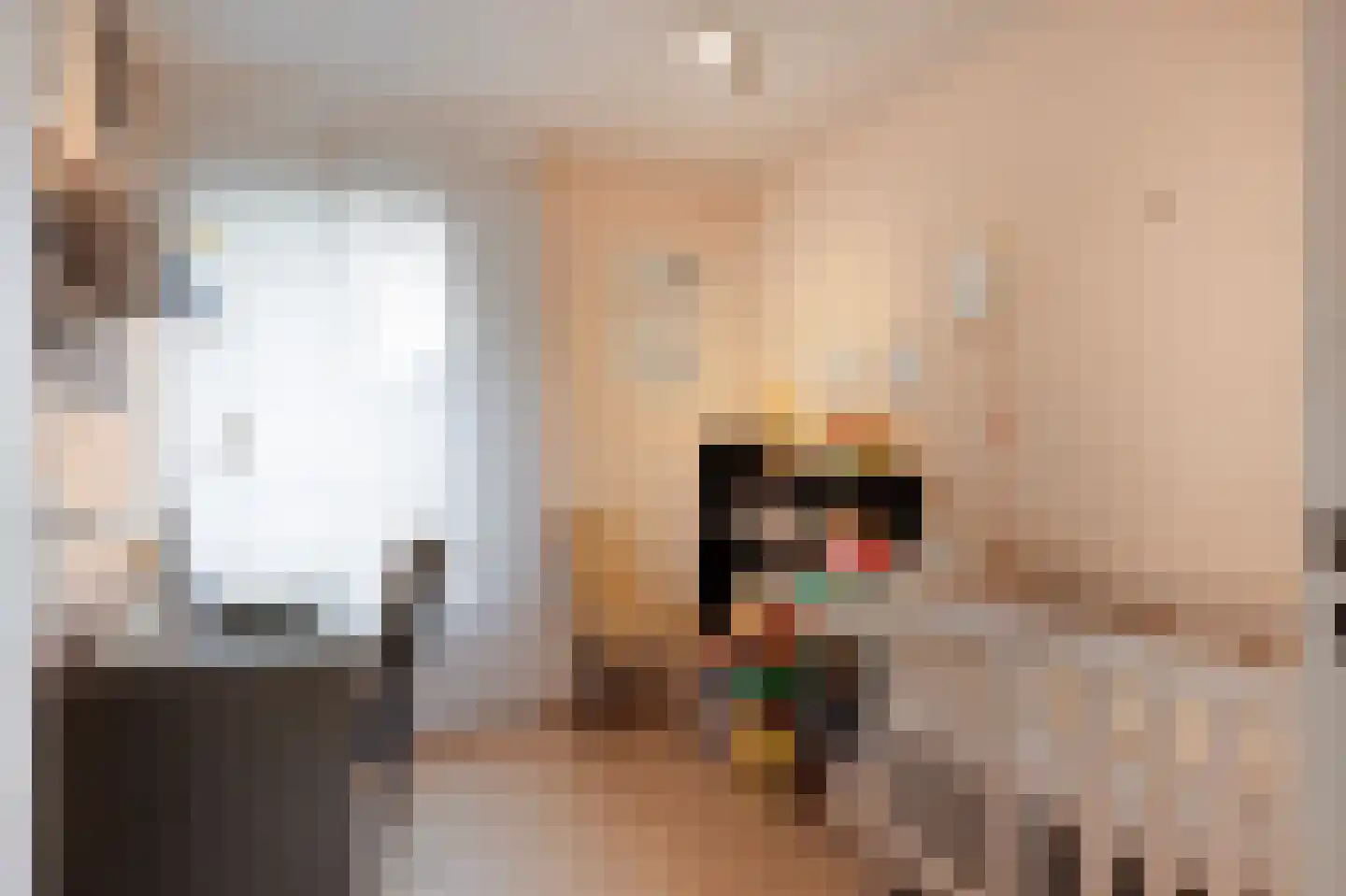 Debijestraat 48 Geleen thumbnail 27