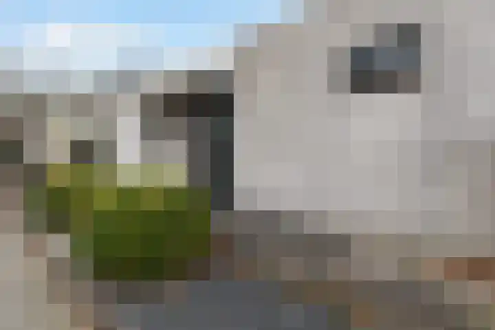 Debijeweg 350 Rotterdam thumbnail 42