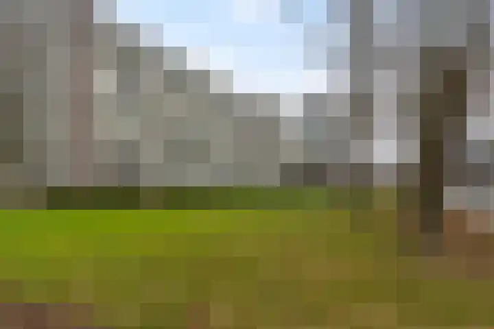 Debijeweg 350 Rotterdam thumbnail 44