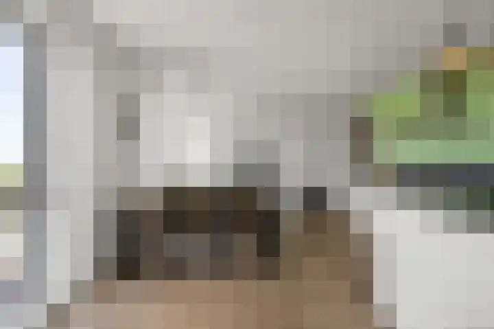 Debora Bakelaan 106 Heemskerk thumbnail 10