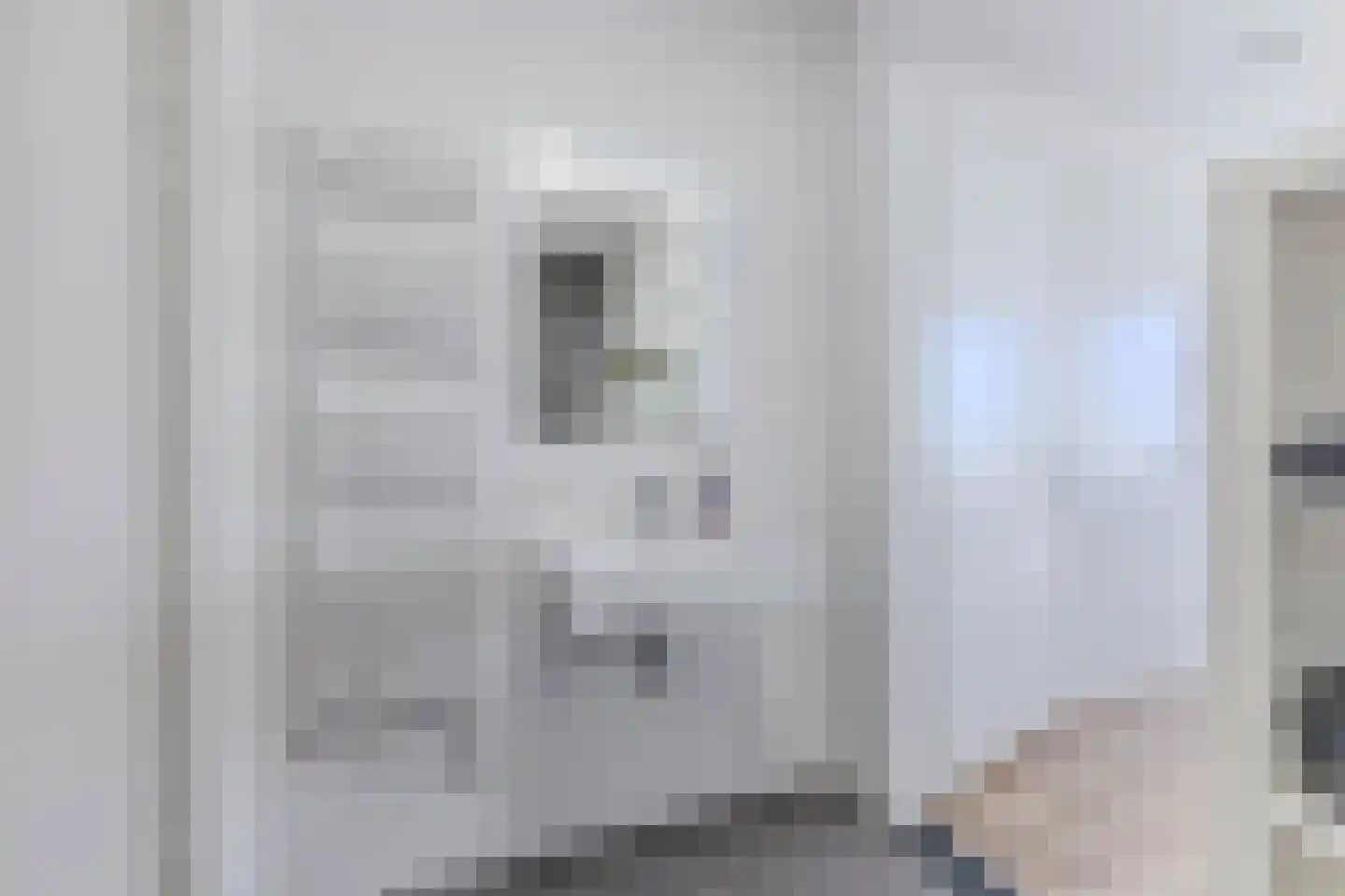 Debora Bakelaan 132 Heemskerk thumbnail 25