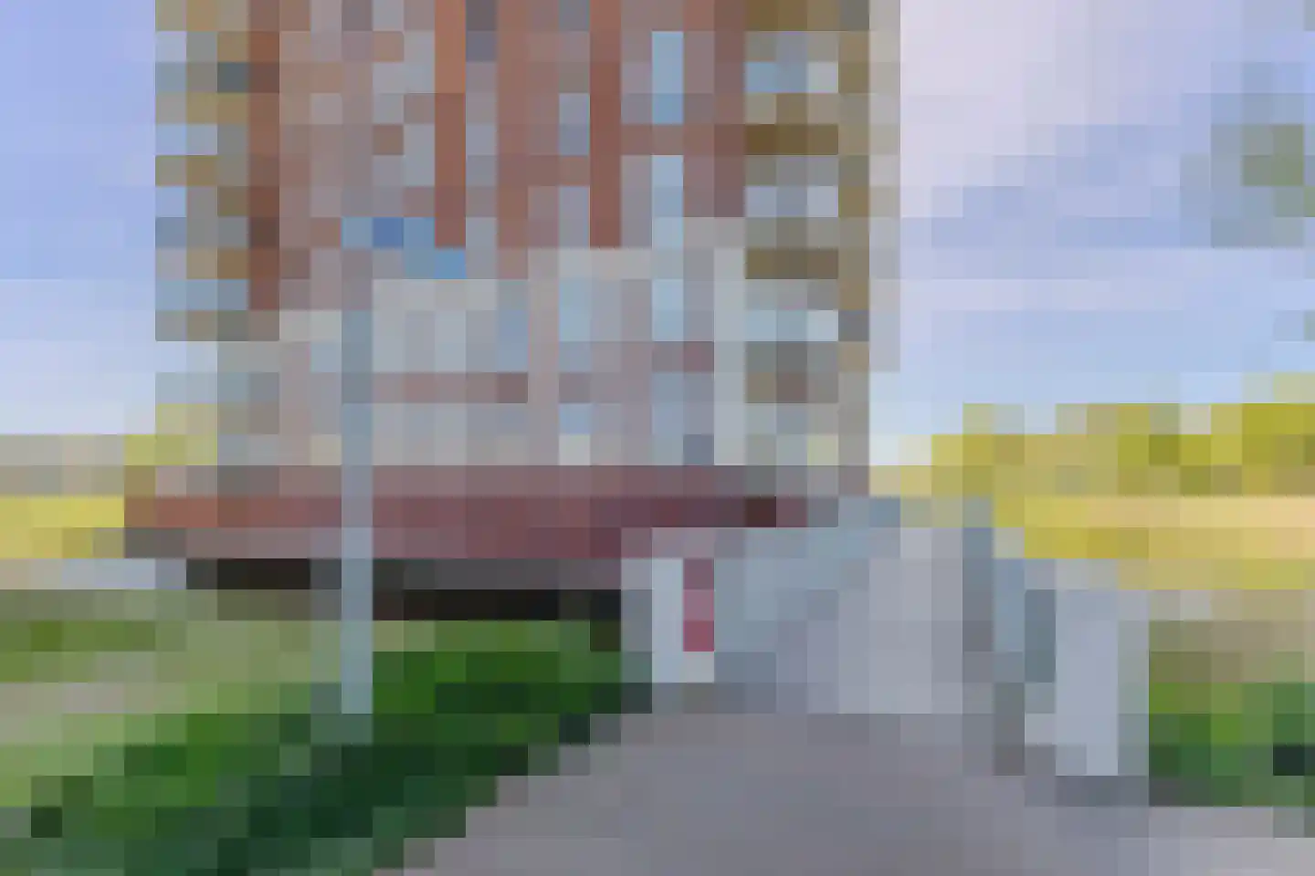 Debora Bakelaan 132 Heemskerk thumbnail 30