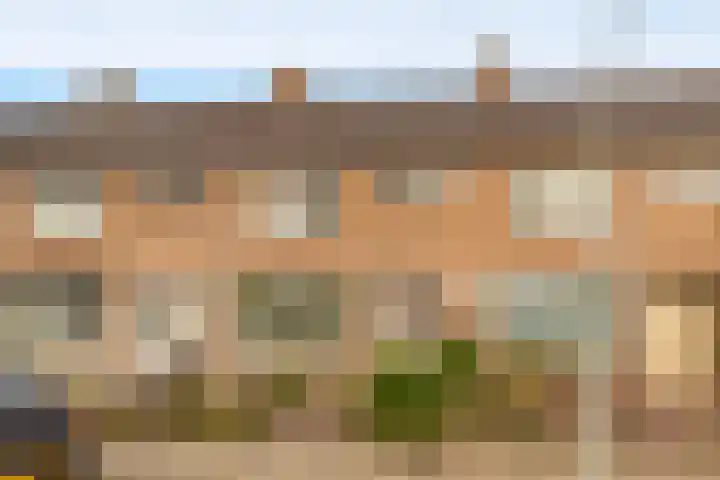 Debora Bakelaan 25 Heemskerk thumbnail 5