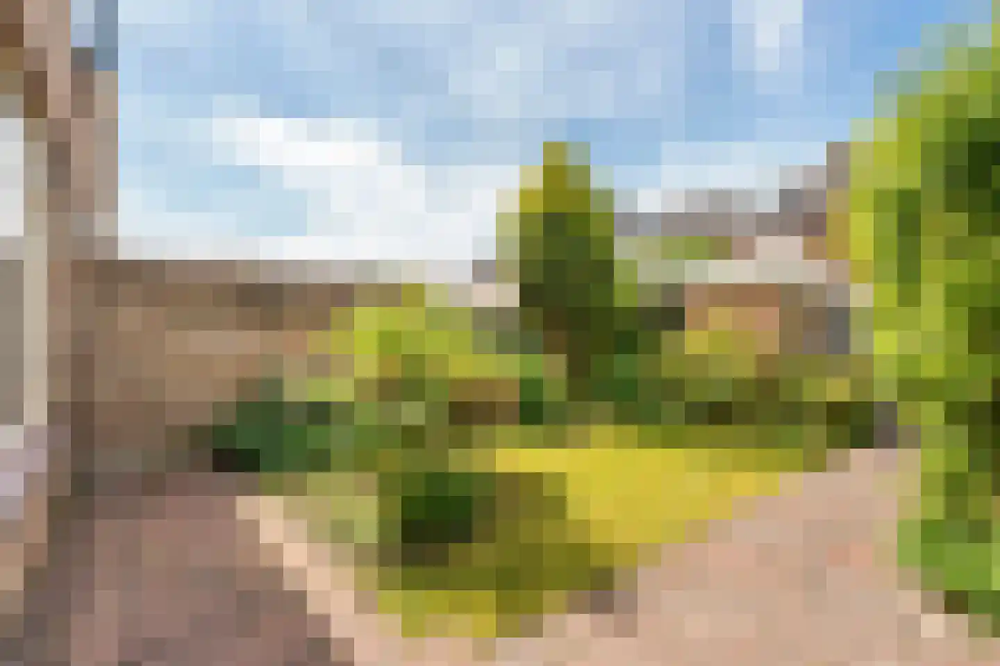 Debora Bakelaan 27 Heemskerk thumbnail 19