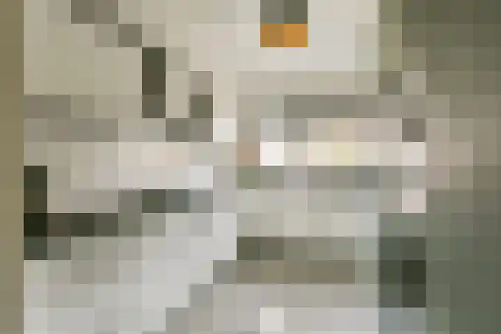 Debussyhof 13 Voorhout thumbnail 13