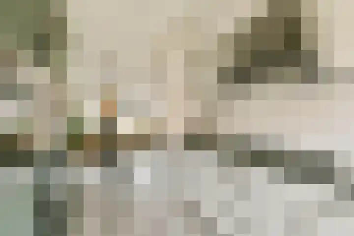Debussyhof 13 Voorhout thumbnail 16