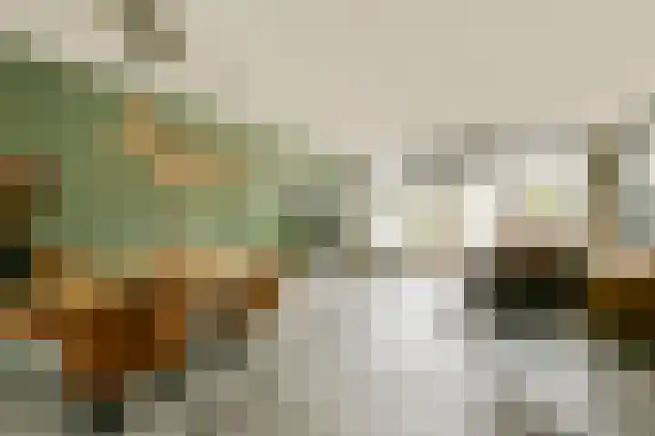 Debussyhof 13 Voorhout thumbnail 4