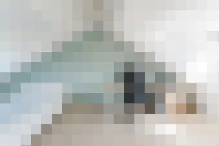 Debussyhof 4 Voorhout thumbnail 27