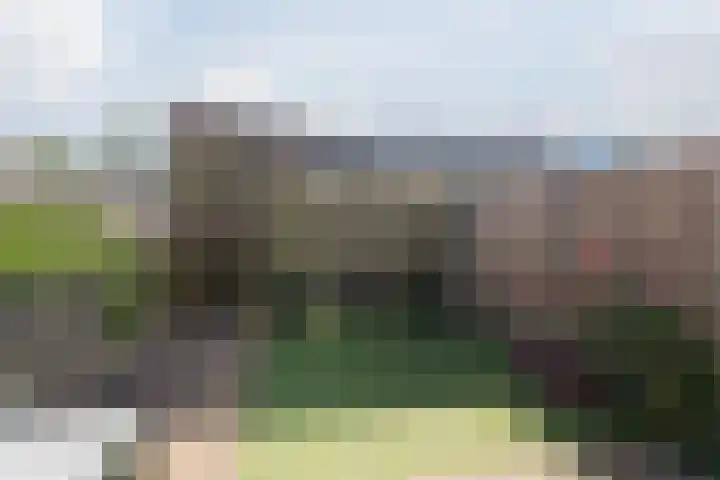 Debussyhof 4 Voorhout thumbnail 32