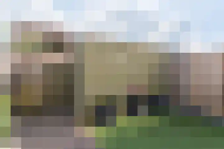 Debussyhof 4 Voorhout thumbnail 34