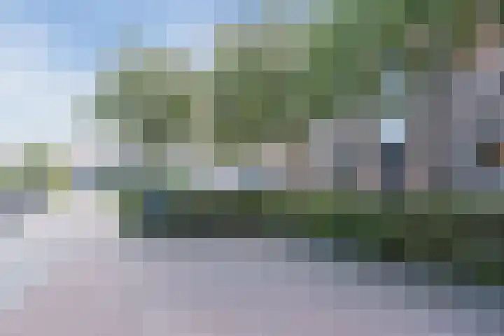 Debussyhof 4 Voorhout thumbnail 37
