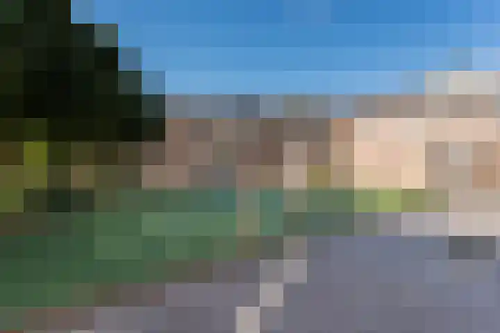 Debussyhof 4 Voorhout thumbnail 41