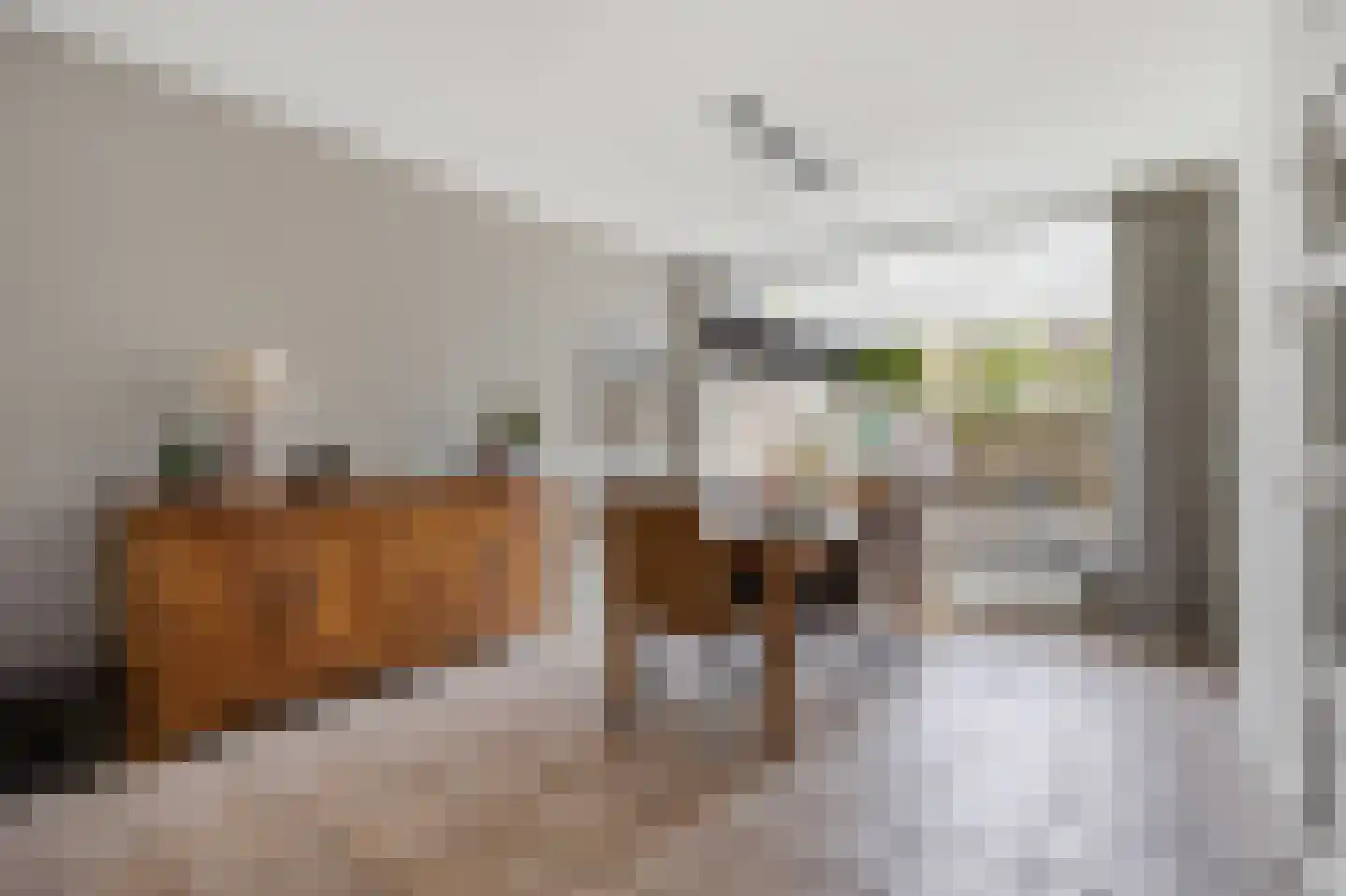 Debussylaan 15 Raamsdonksveer thumbnail 11