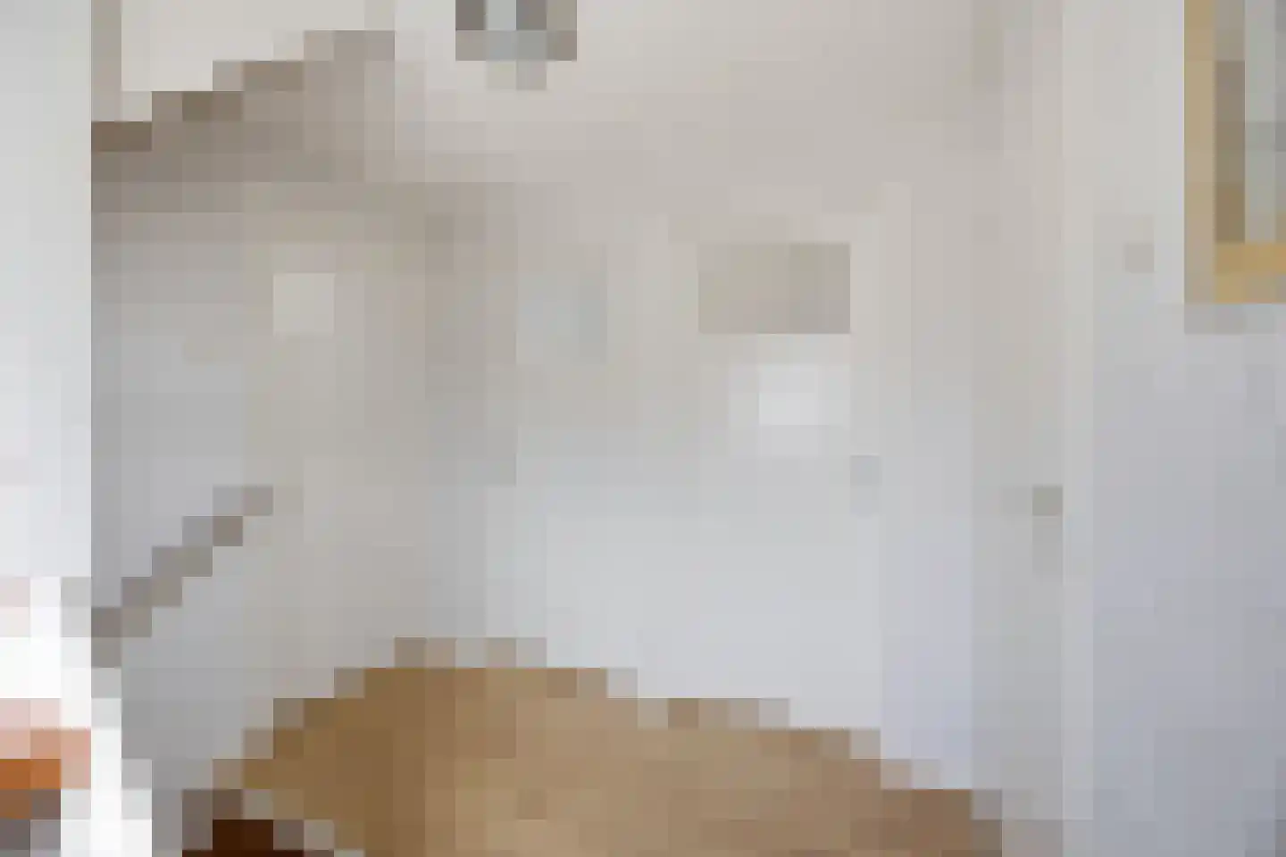 Debussylaan 15 Raamsdonksveer thumbnail 17