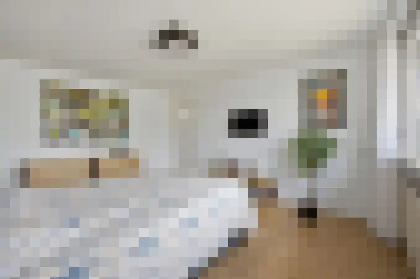 Debussylaan 15 Raamsdonksveer thumbnail 20