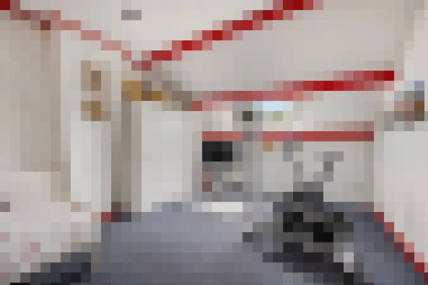 Debussylaan 15 Raamsdonksveer thumbnail 29