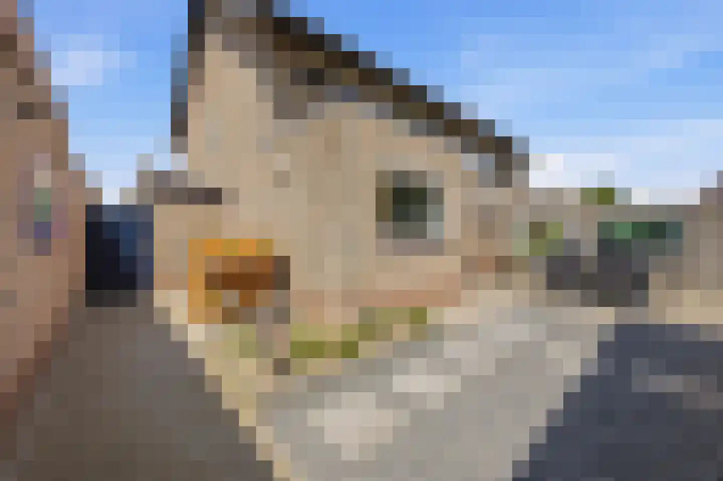 Debussylaan 15 Raamsdonksveer thumbnail 32