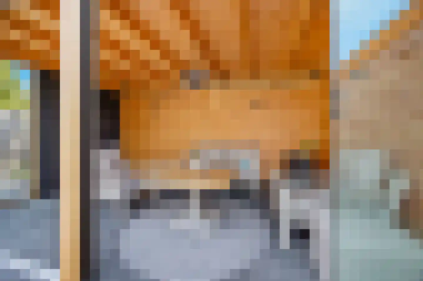 Debussylaan 15 Raamsdonksveer thumbnail 36