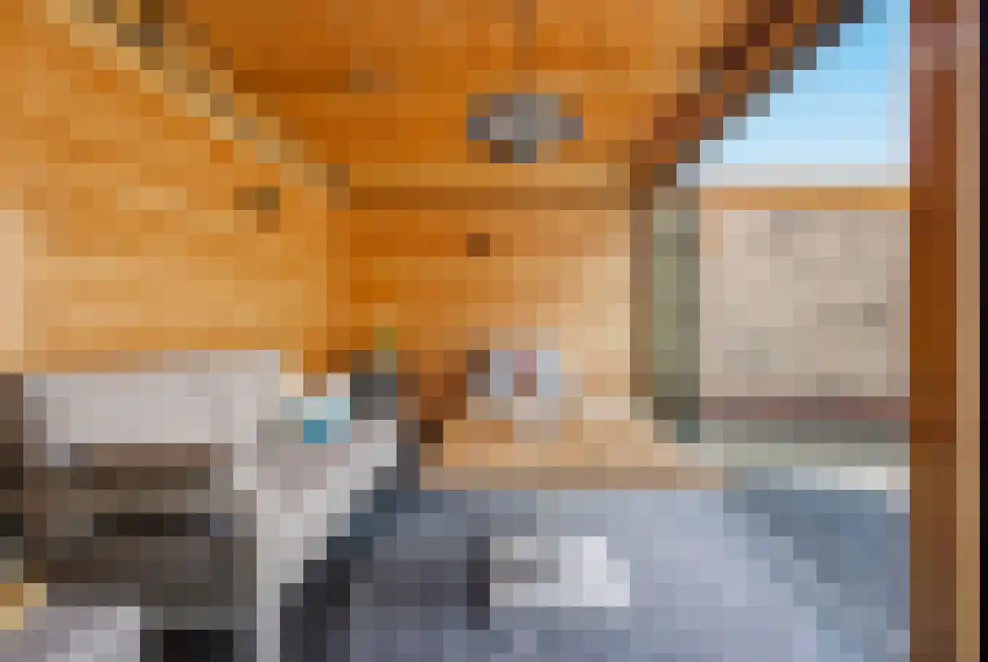 Debussylaan 15 Raamsdonksveer thumbnail 37