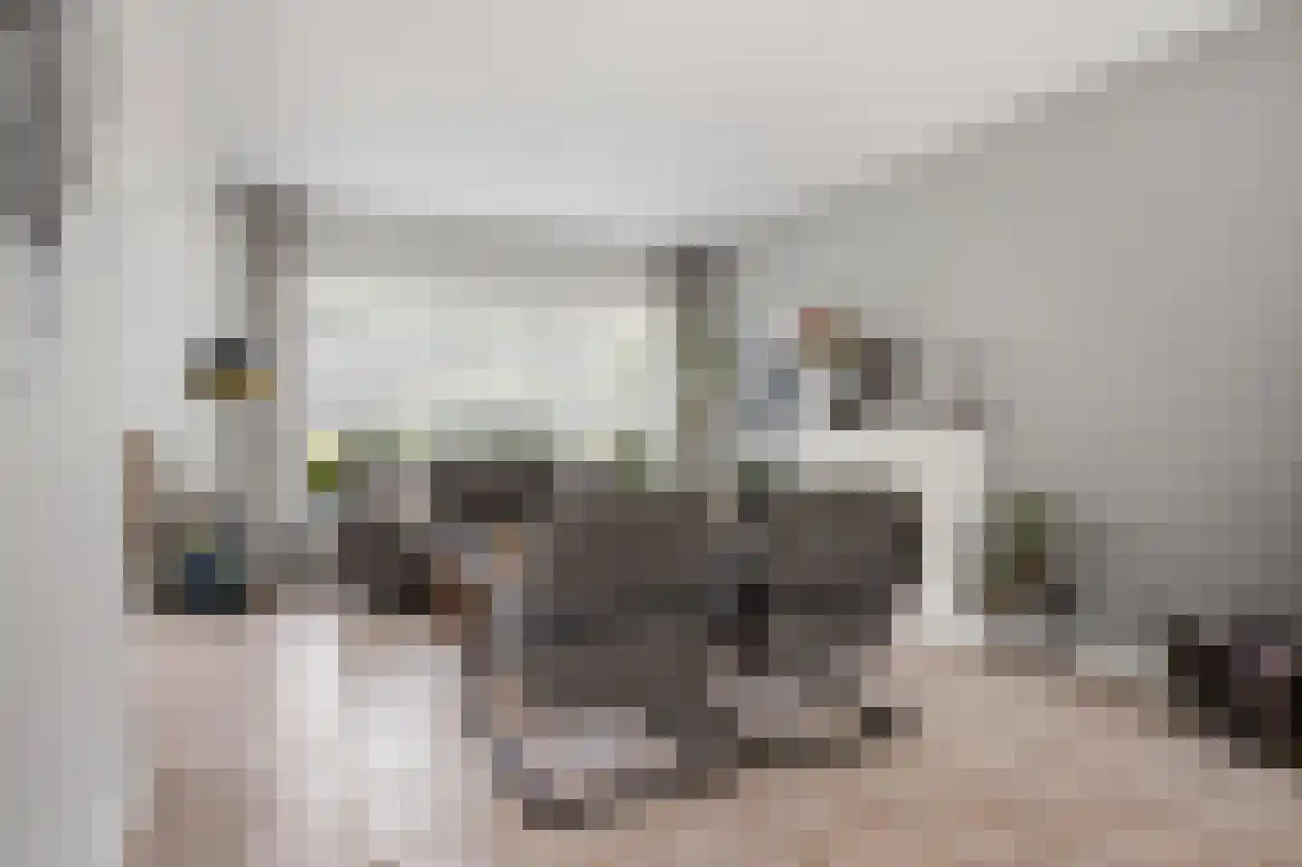 Debussylaan 15 Raamsdonksveer thumbnail 7