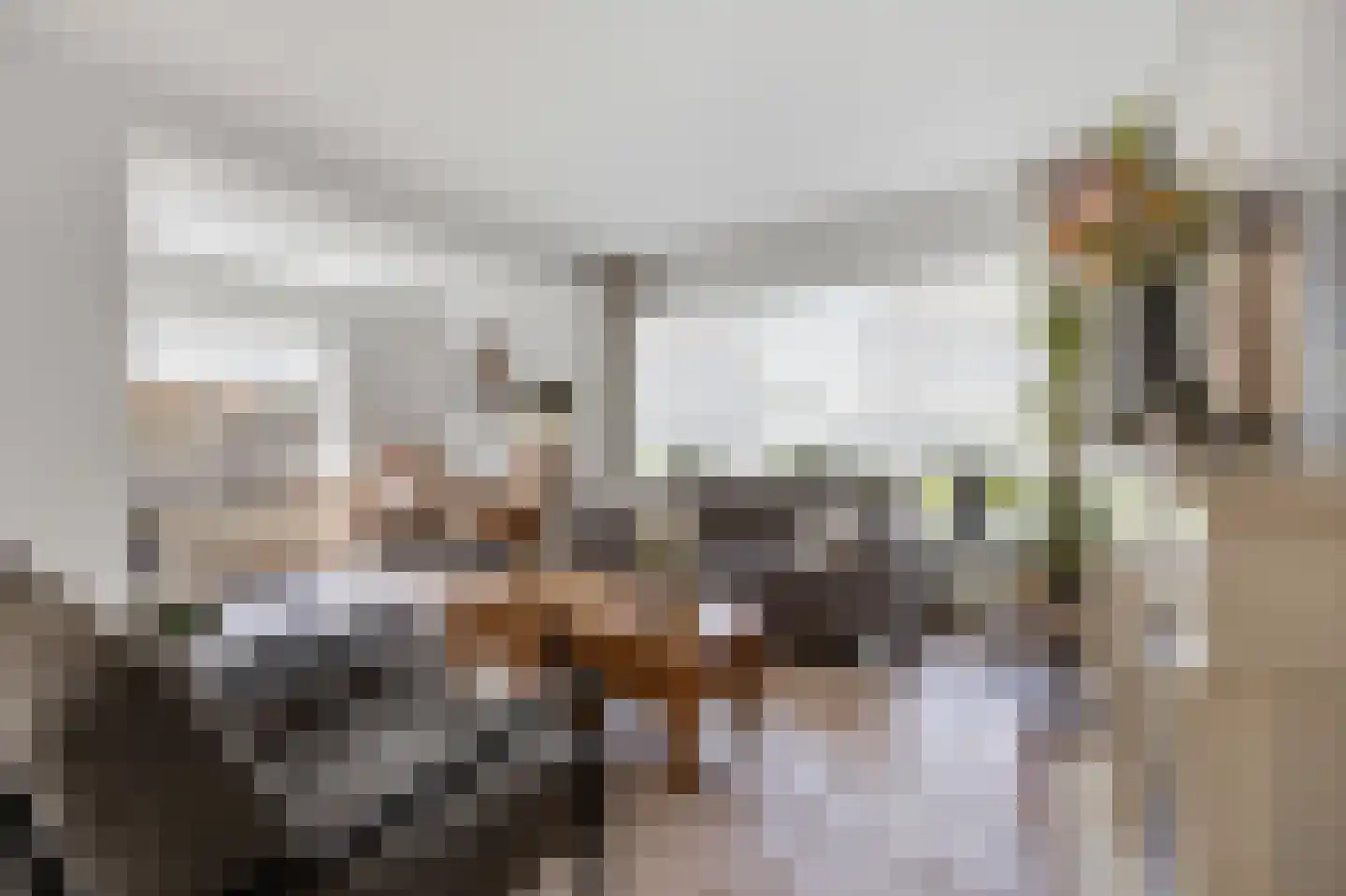 Debussylaan 15 Raamsdonksveer thumbnail 8