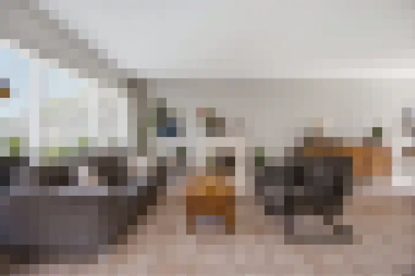 Debussylaan 15 Raamsdonksveer thumbnail 9