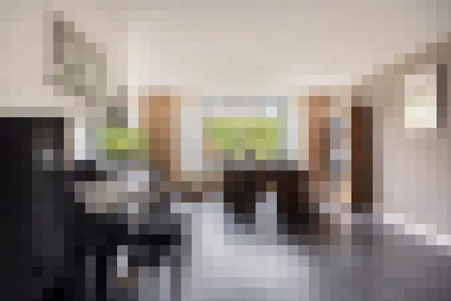 Debussylaan 15 Tilburg thumbnail 12