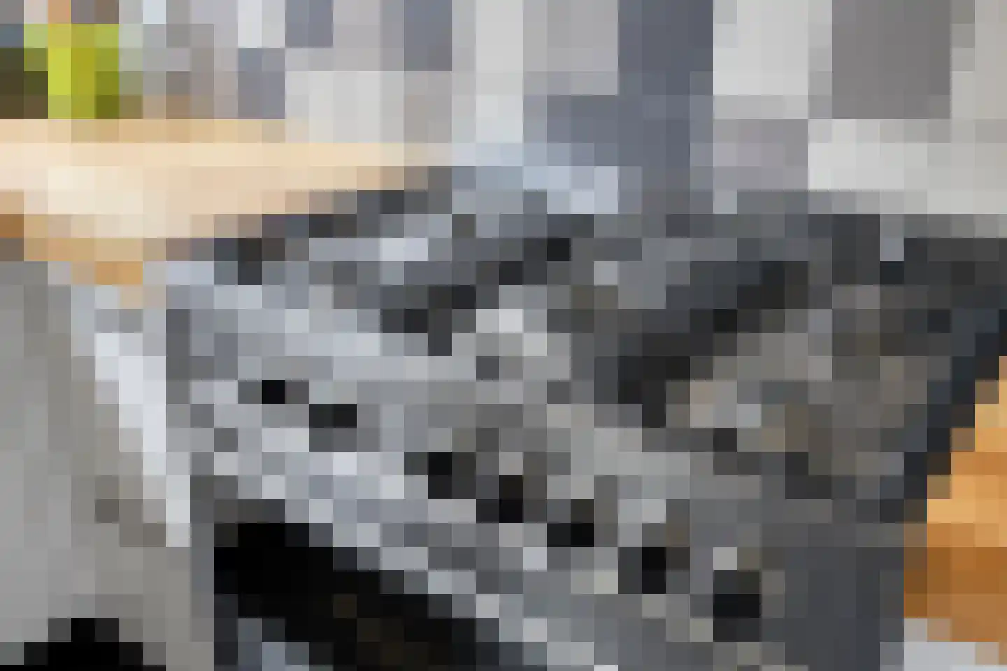 Debussylaan 15 Tilburg thumbnail 24