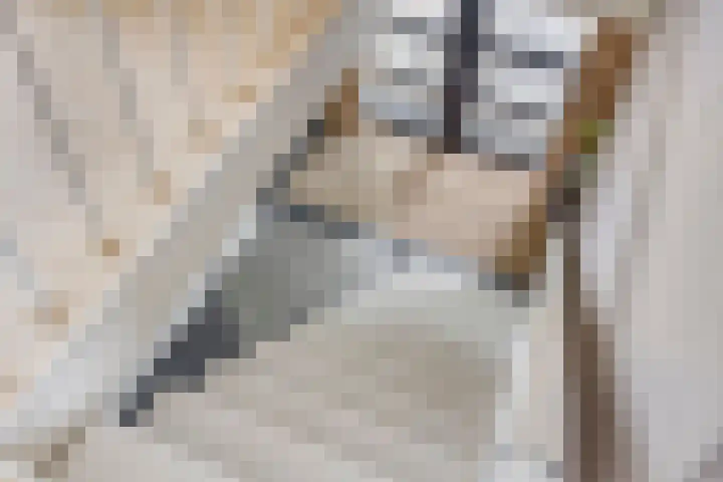 Debussylaan 15 Tilburg thumbnail 27