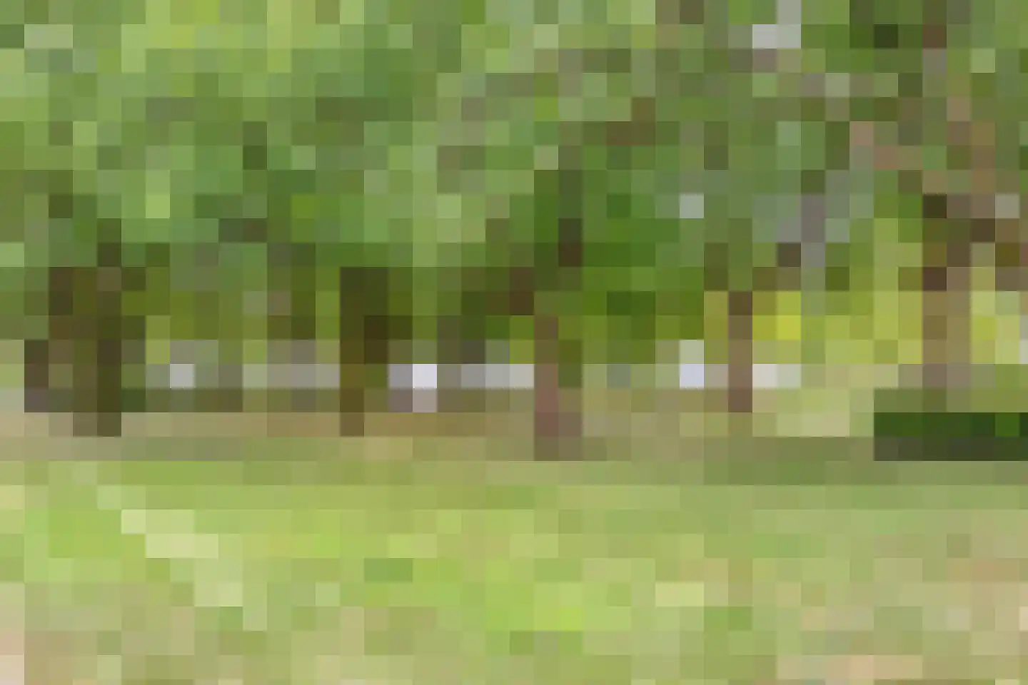 Debussylaan 15 Tilburg thumbnail 56