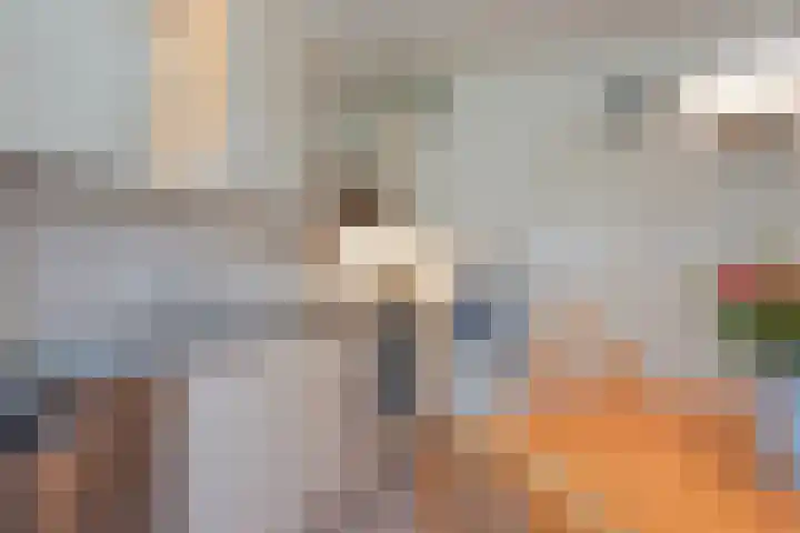 Debussylaan 16 Raamsdonksveer thumbnail 18