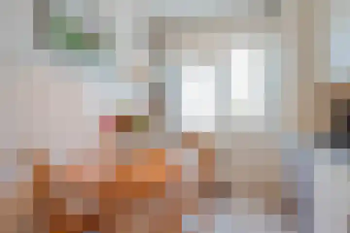 Debussylaan 16 Raamsdonksveer thumbnail 20