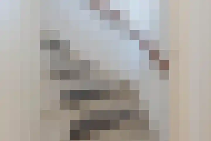 Debussylaan 16 Raamsdonksveer thumbnail 38
