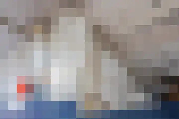 Debussylaan 16 Raamsdonksveer thumbnail 39