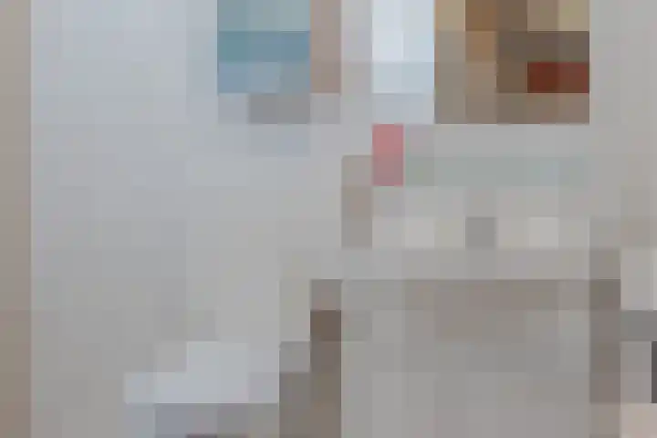 Debussylaan 16 Raamsdonksveer thumbnail 4