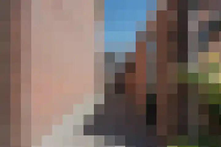 Debussylaan 16 Raamsdonksveer thumbnail 45