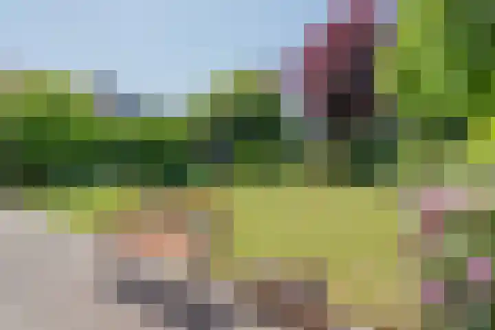 Debussylaan 16 Raamsdonksveer thumbnail 47